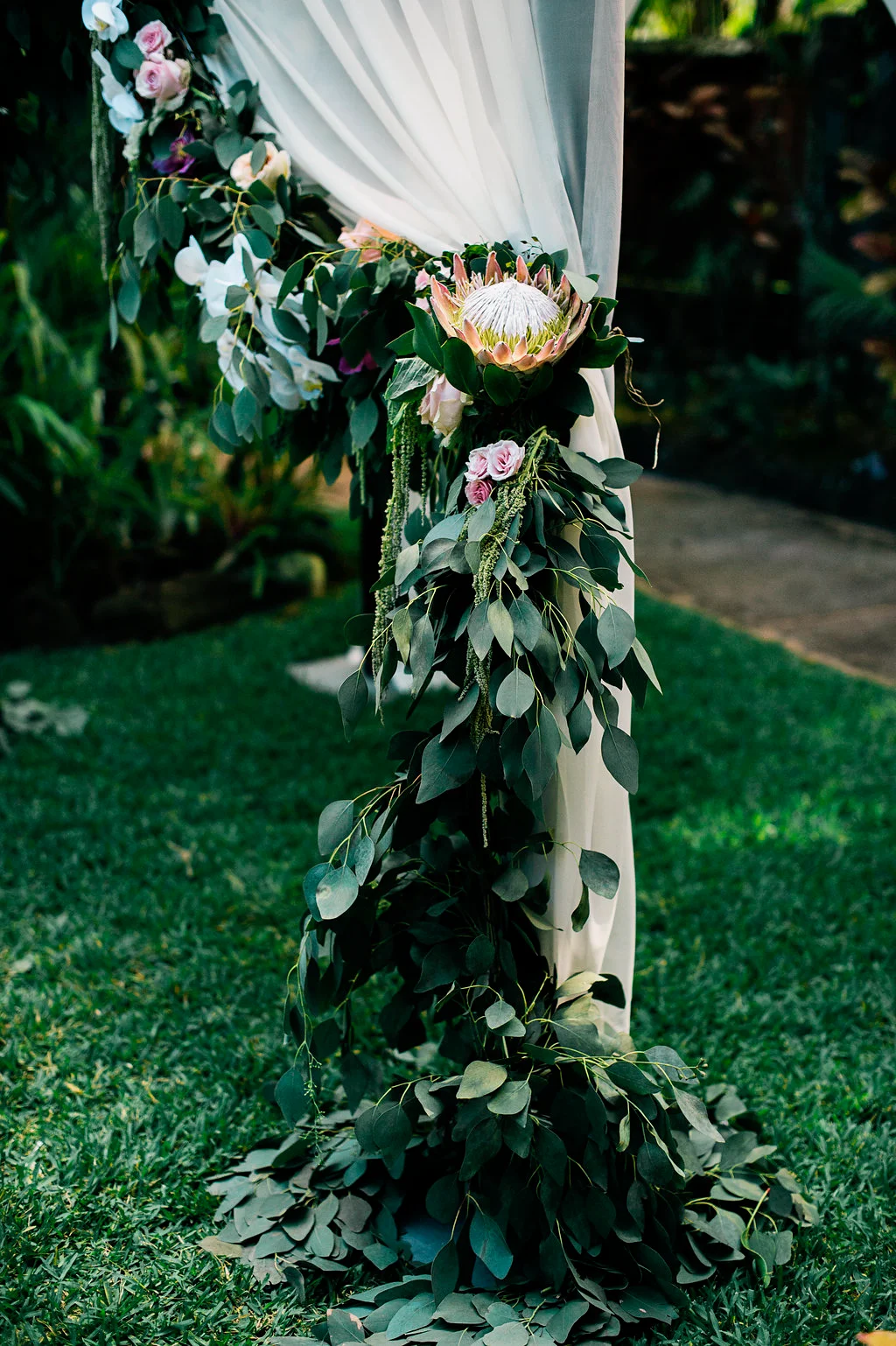 Elegant wedding arch with protea, pink roses, and eucalyptus greenery on Oʻahu, Hawaii.